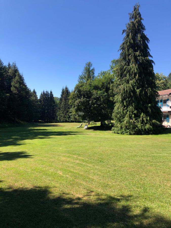 Agriturismo La Casa Nel Bosco Boveglio Extérieur photo