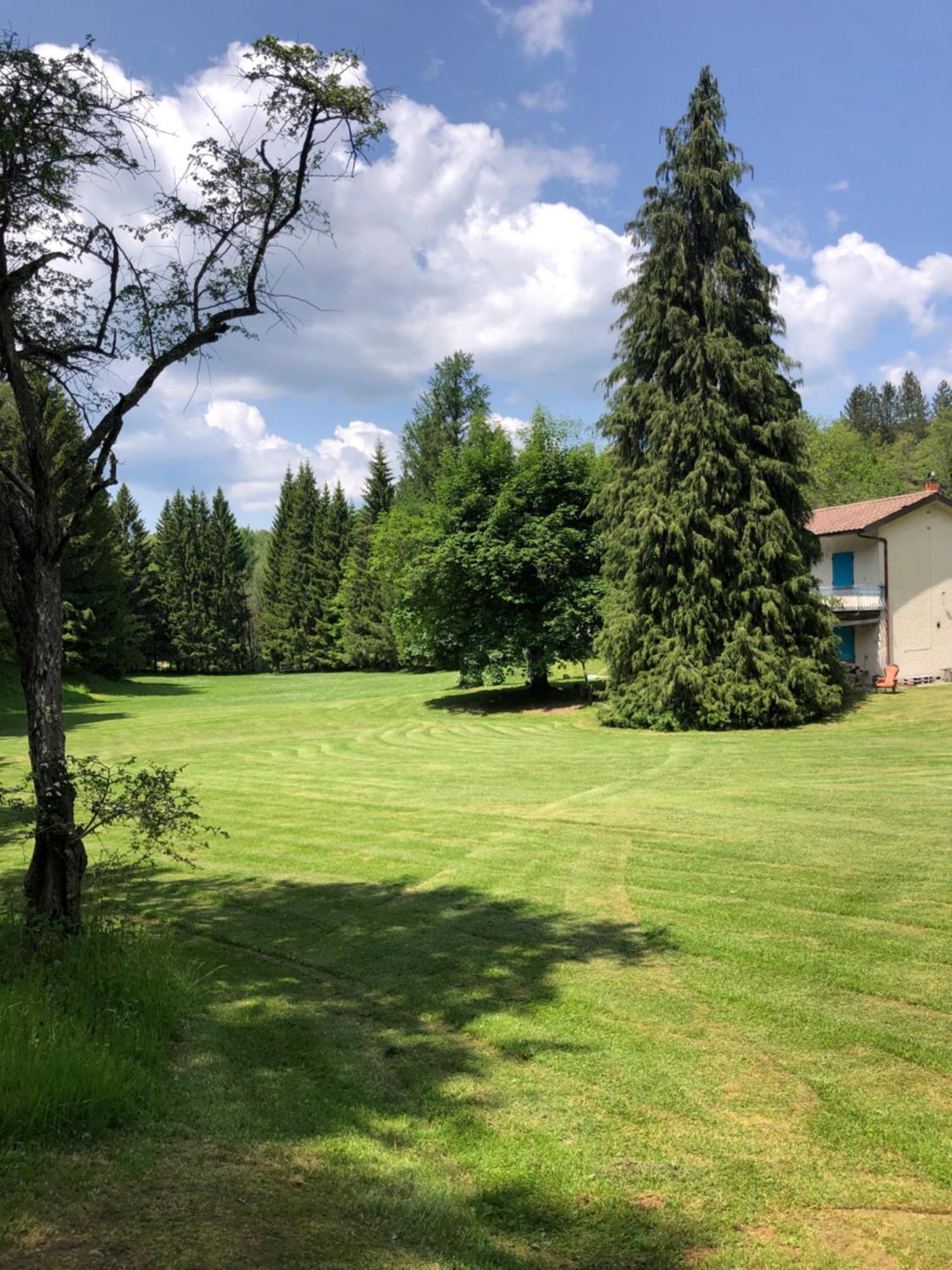 Agriturismo La Casa Nel Bosco Boveglio Extérieur photo