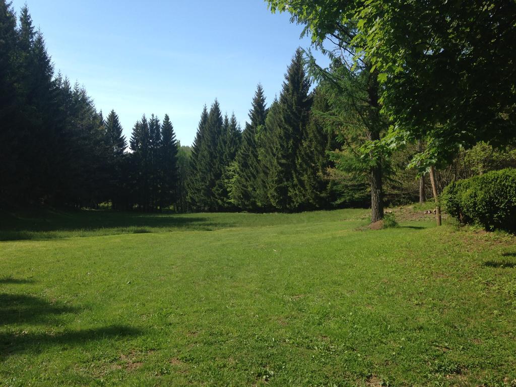 Agriturismo La Casa Nel Bosco Boveglio Extérieur photo