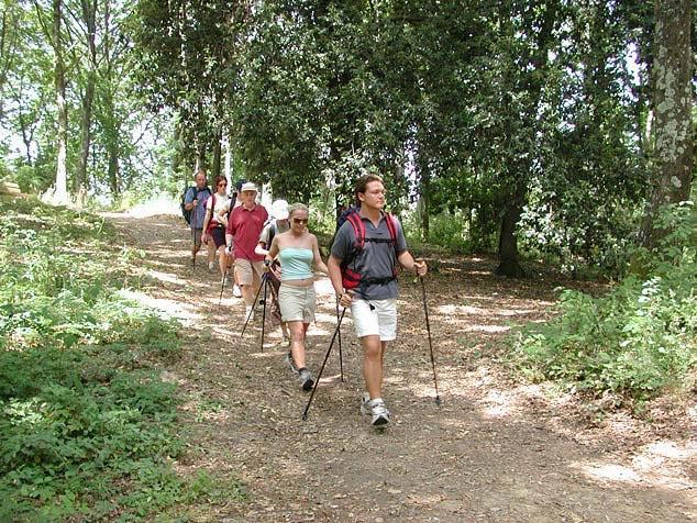 Agriturismo La Casa Nel Bosco Boveglio Extérieur photo