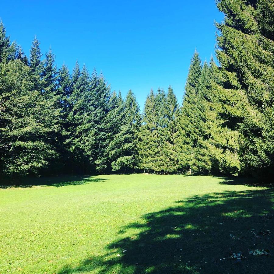 Agriturismo La Casa Nel Bosco Boveglio Extérieur photo